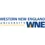 1729162963western-new-england-university-logo.webp